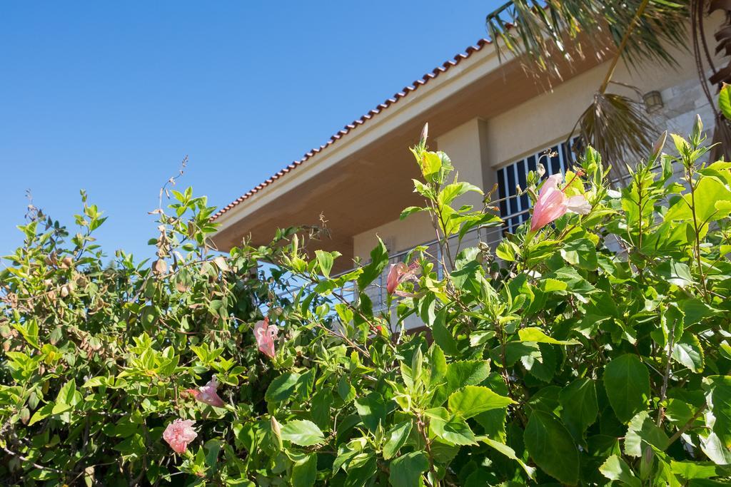 Sunset Beach House Kato Alepokhorion Exterior photo